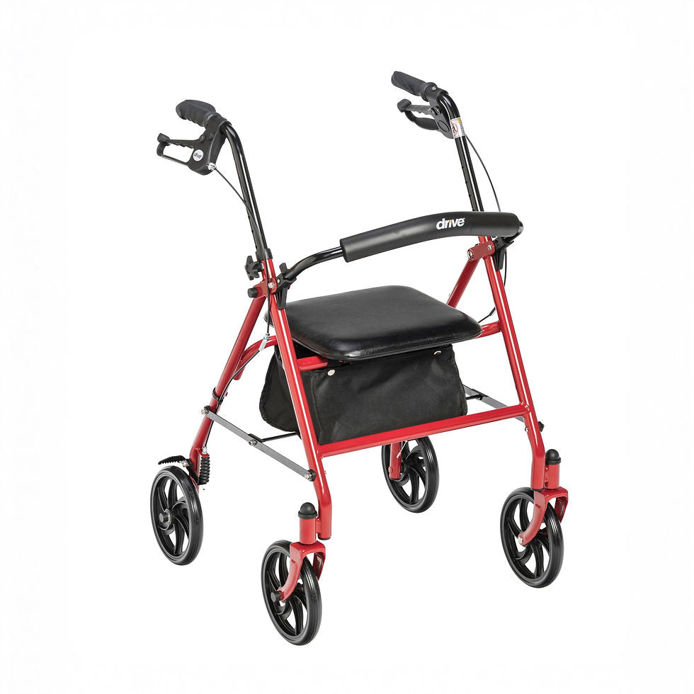 BASIC ROLLATOR EQ 4W 6N BRG