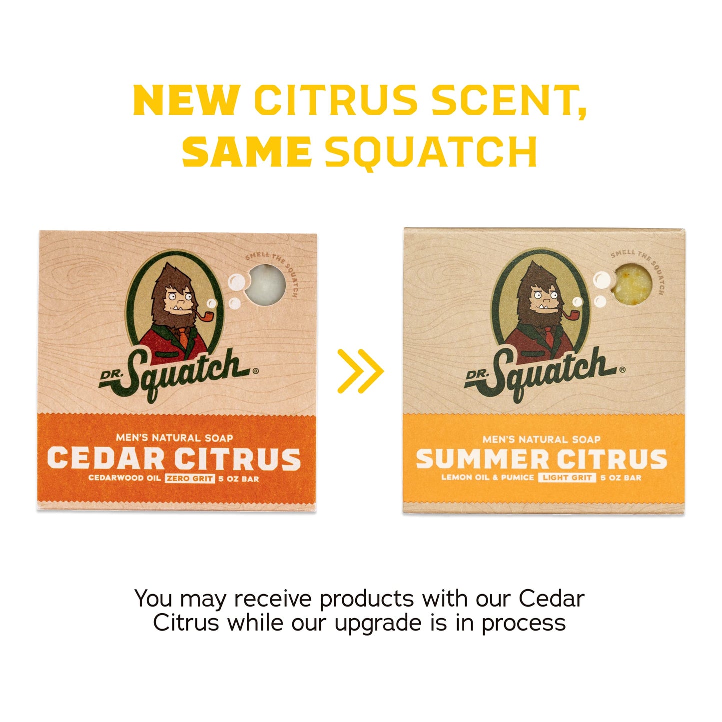DR. SQUATCH BAR SOAP,MENS,BRCHWD BRZ