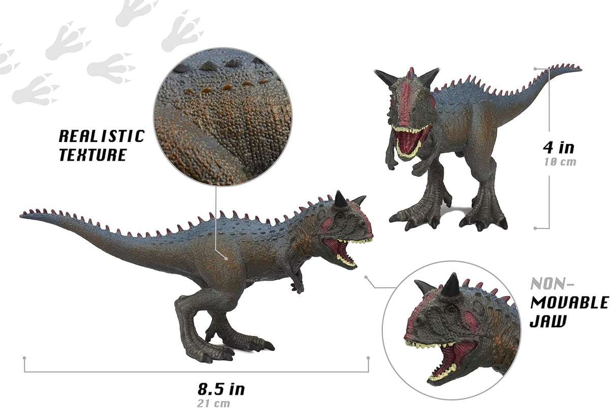 RTC BOY 3PK DINOSR 6-8