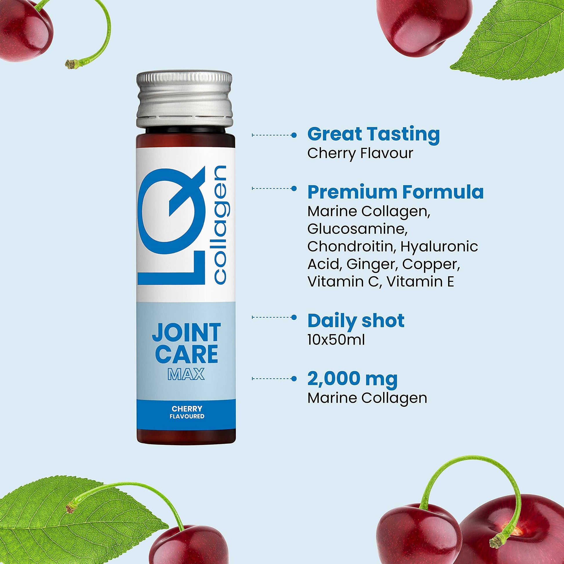 JOINT LUBE GLUCOSAMINE LQ 473ML