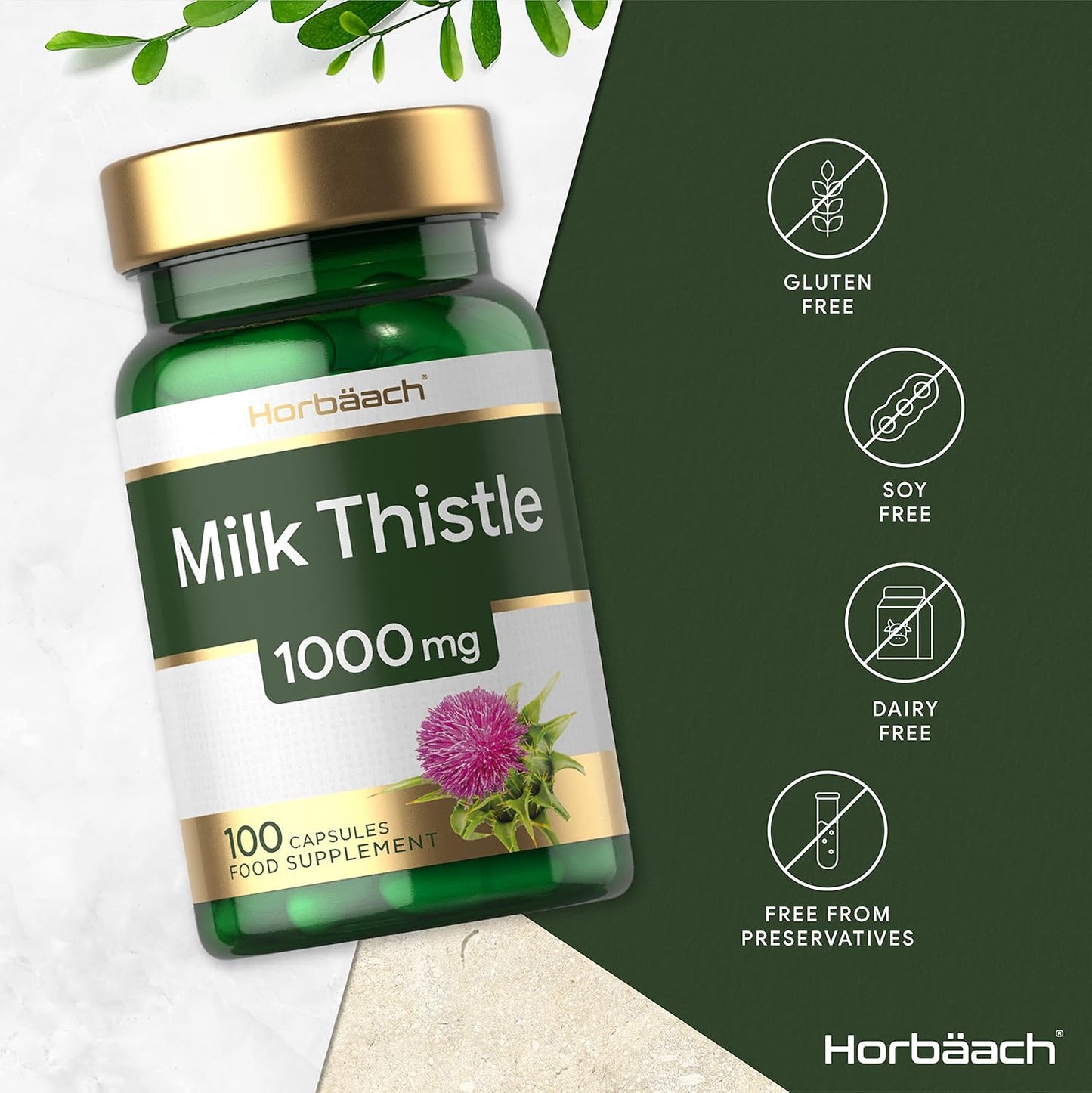 SDNE MILK THISTLE CP 1000MG 60