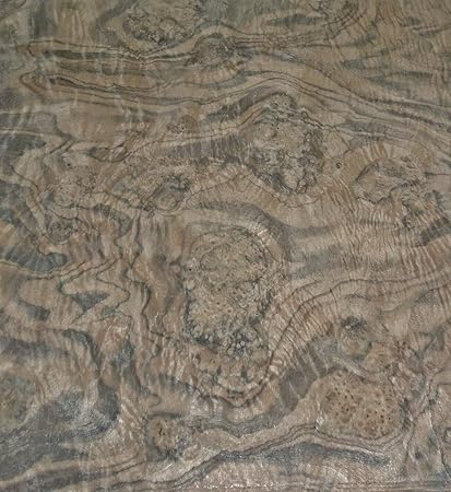 BRUSH,VEINED,OVAL,WOOD