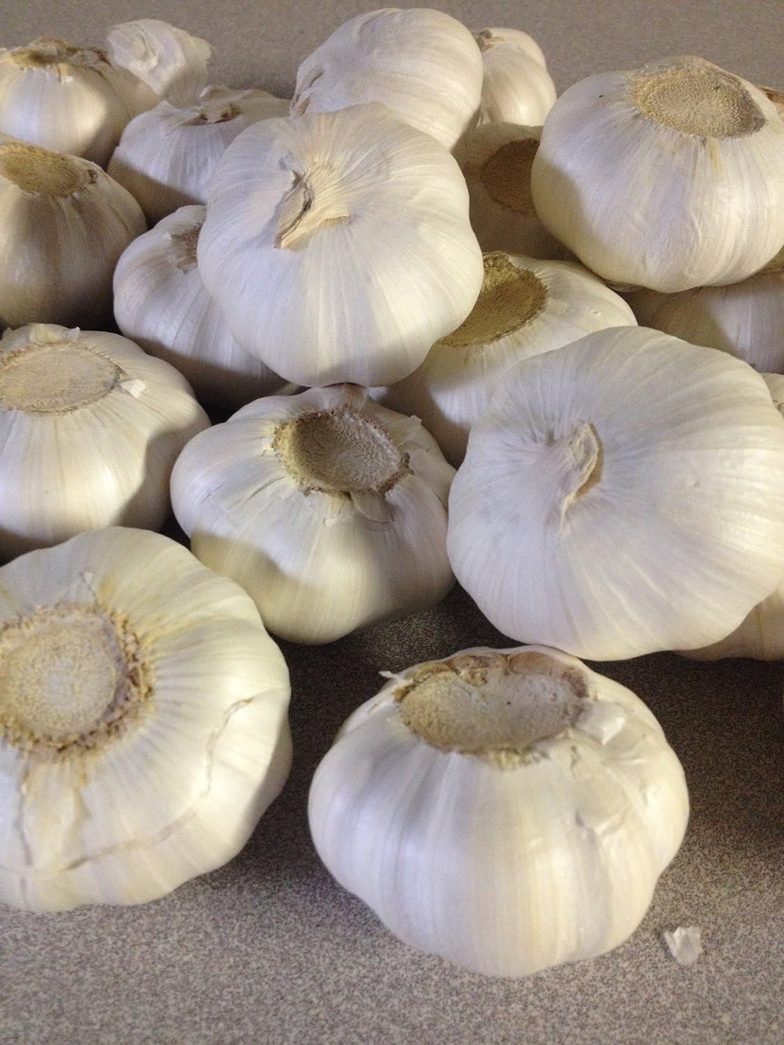 NATURE'S ANSWER GARLIC BULB