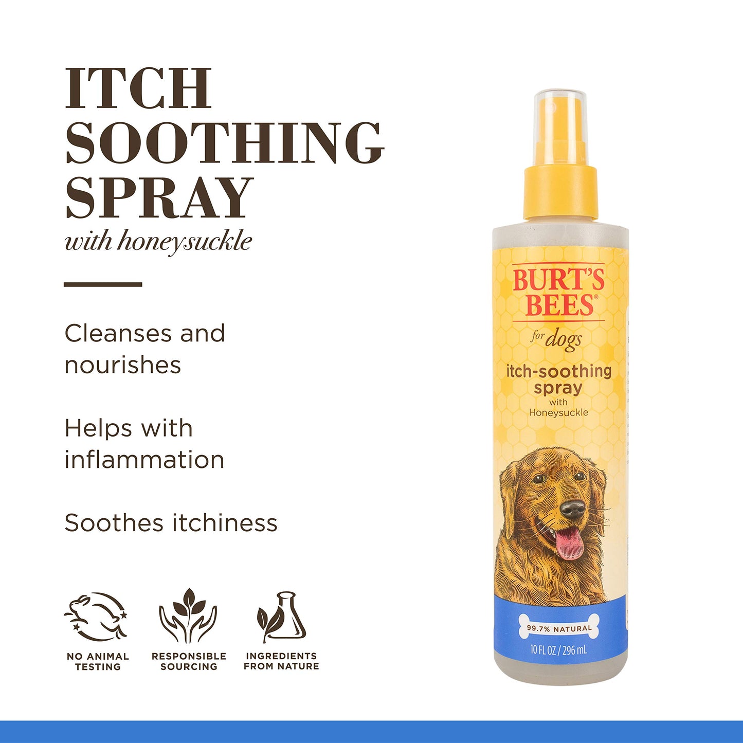 BURTS BEES DOG ITCH SOOTH HNYSK SHM 16OZ