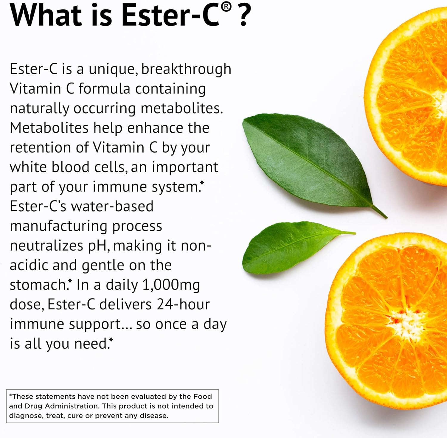 ESTER-C PWDR W/CITRUS BIO