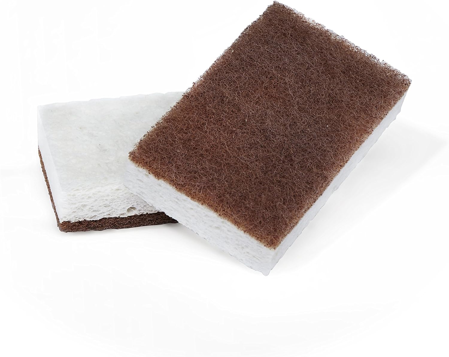 FULL CIRCLE SCRUBBER SPONGE,CCNUT,2PK