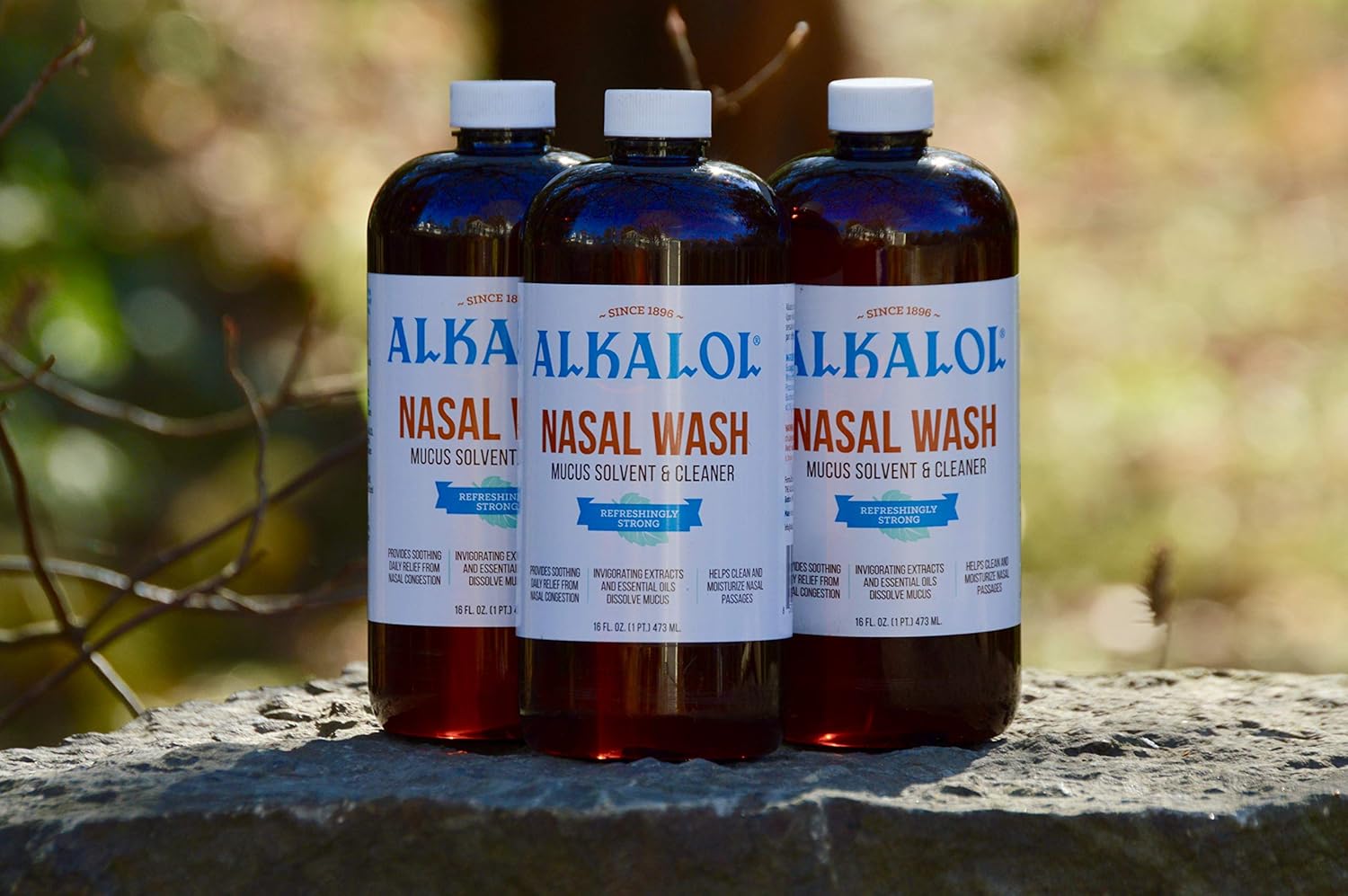 ALKALOL NASAL WASH LQ 16OZ W/CUP