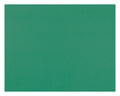 Pacon Railroad Poster Board, 1 count - Holiday Green, 28" x 22"