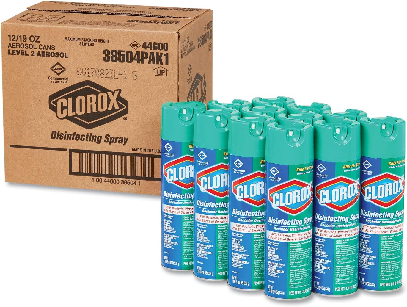 LYSOL DSFCT SPRY 12X19OZ EMBRZ