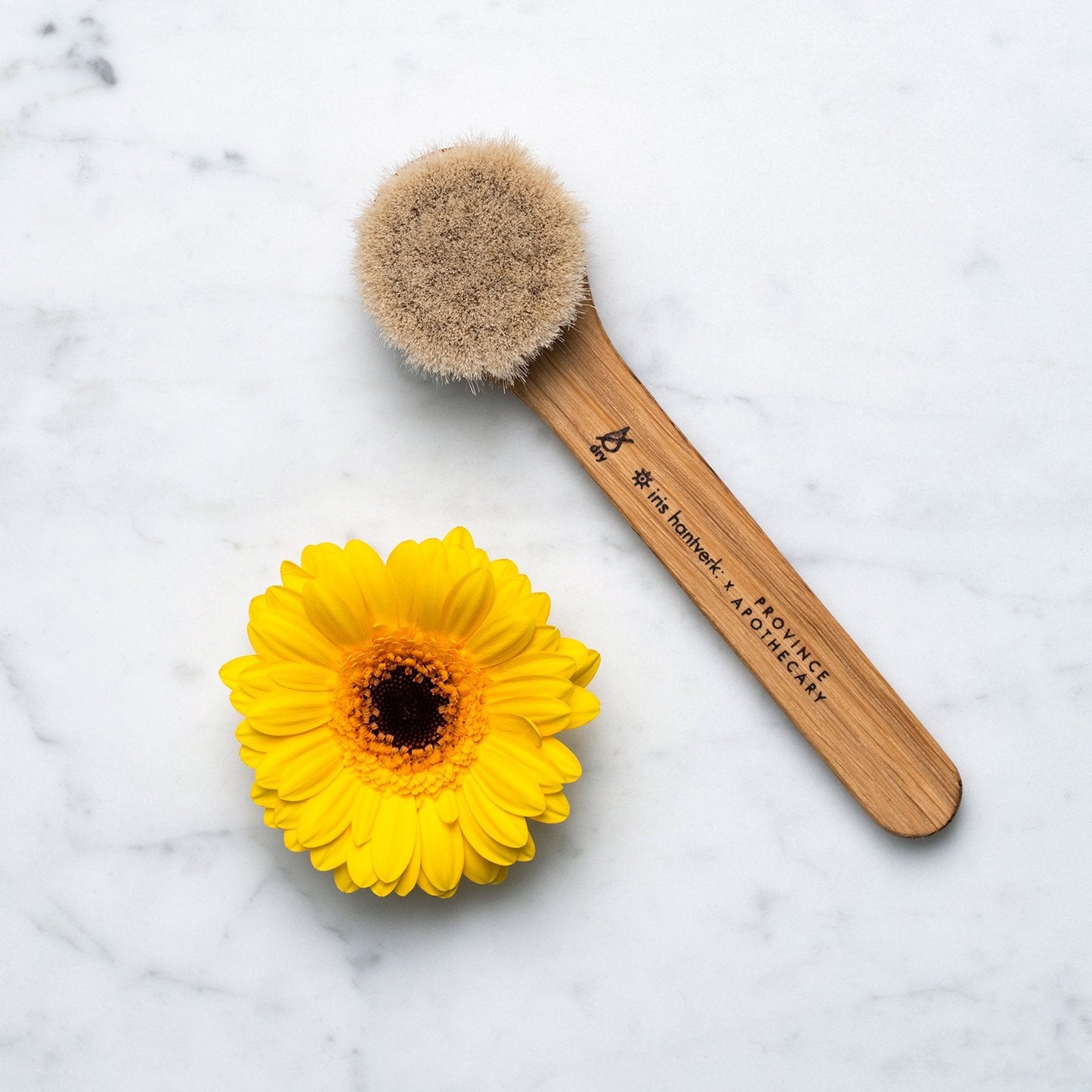 BRUSH,FACE DRY DAILY