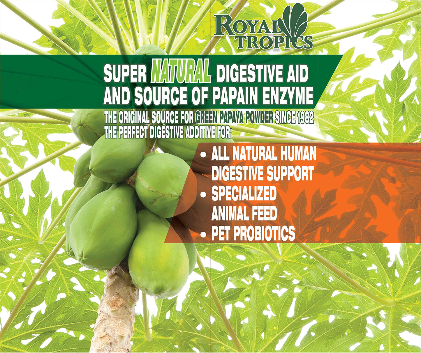 ROYAL TROPICS GREEN PAPAYA DIGESTV