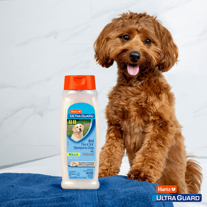 Hartz UltraGuard Rid Flea & Tick Oatmeal Dog Shampoo
