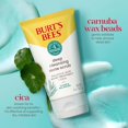 Burt's Bees Clear & Balanced Deep Cleansing Acne Scrub with Salicylic Acid, 4 oz