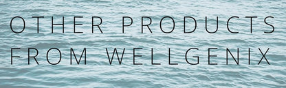 WELLGENIX BIO AVAILABLE,B12