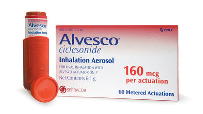 ALVESCO IN 80MCG 6.1GM