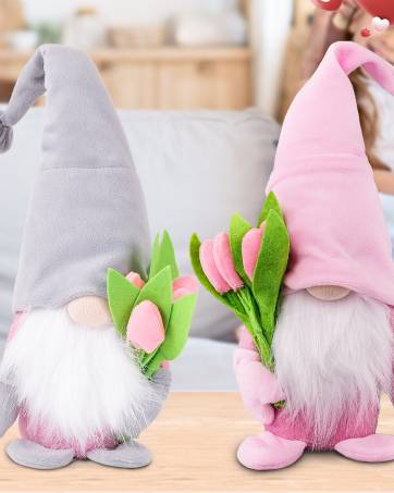 2IN1 SPONGE GNOMES