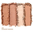 COVERGIRL Eye Enhancer Eyeshadow Quad, Carded - 215 Country Woods