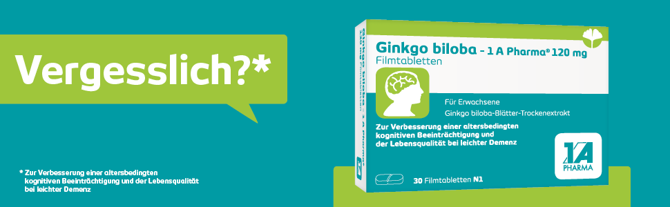 SDNE GINKO BILOBA CP 120MG 60