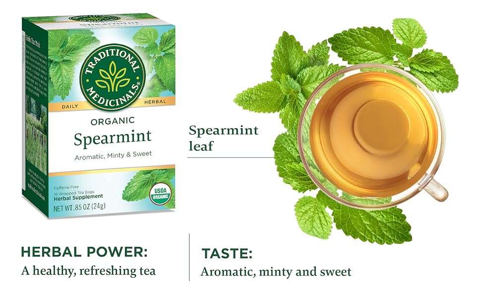 TRADITIONAL MEDICINALS TEA,OG2,SPEARMINT