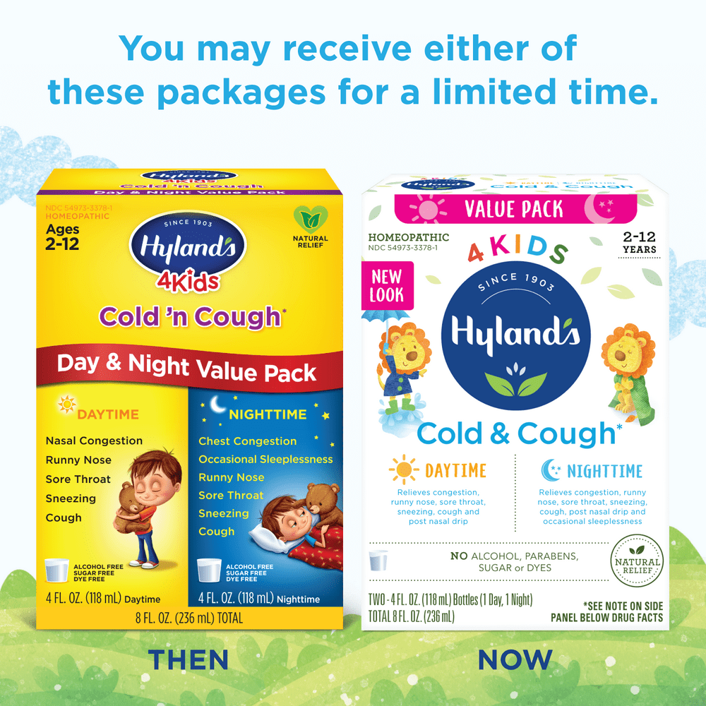 HYLAND'S KIDS COLD COUGH NHT GRP LIQ 4OZ