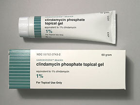 CLINDAMYCIN PHOS PA 1%  60 JAR
