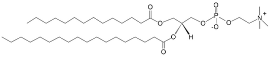 VISCOGL STY-PT T/SEPTR PD2SM DSHP