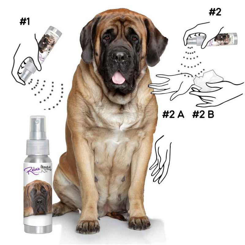DOG SUPP,RELAX,CALMING