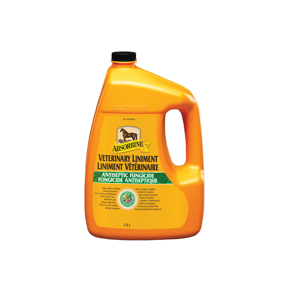 ABSORBINE JR LINIMENT VET HORSE 16OZ
