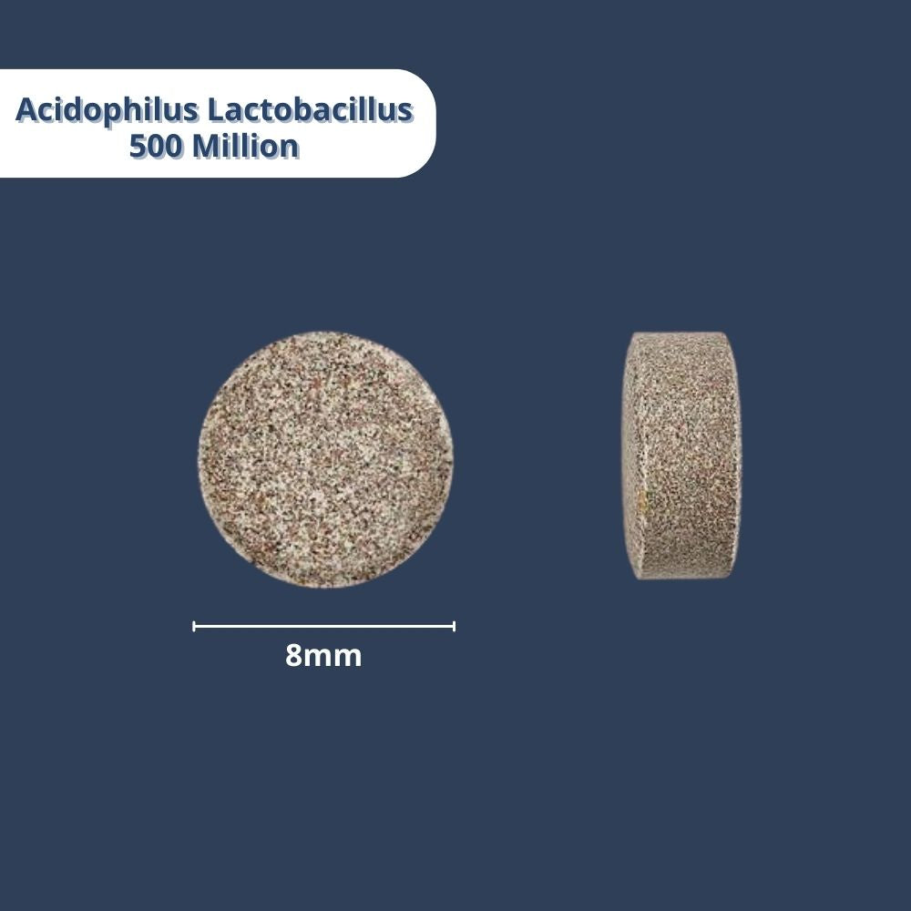 ACIDOPHILUS LACTO 10 BU-GM PWD 500 GM DS