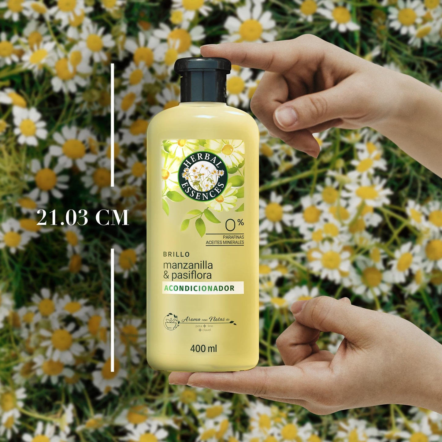 HE SHINE BRILLANCE SH 800ML CHAML