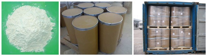 ALPHA-KETOGLUTARIC ACID 25 GM DS