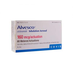 ALVESCO IN 80MCG 6.1GM