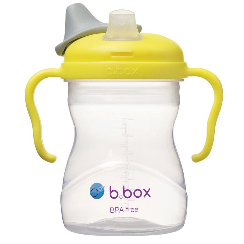 LANSINOH B.BOX 4M+ SPEARMINT SPOUT CUP