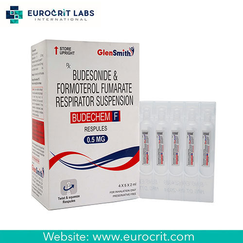 BUDES/FORMO IN 80-4.5MCG 10.2GM