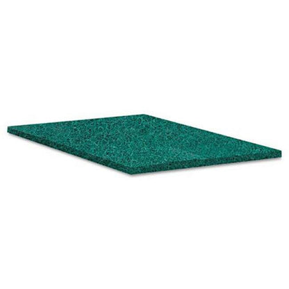 SCOUR PADS,PLNT BSD