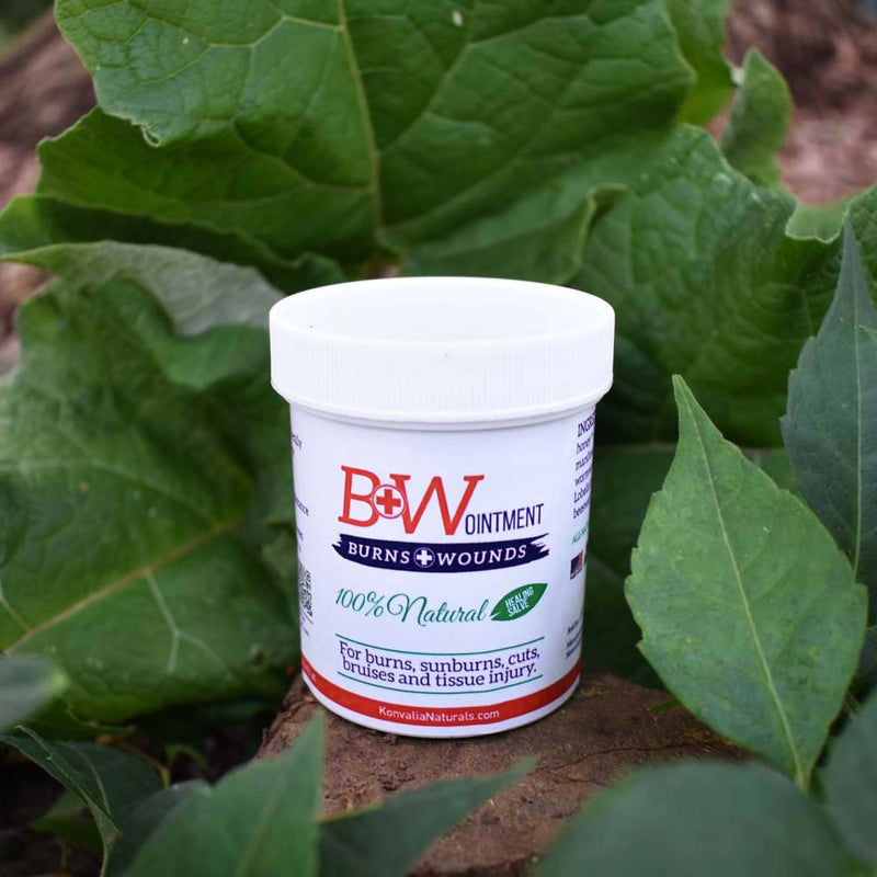 BIOACTIVES WOUNDS&BURNS OI 28GM