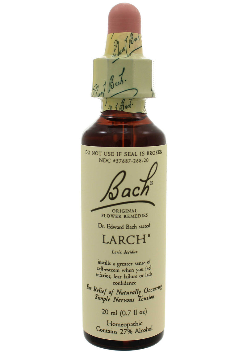 BACH LARCH