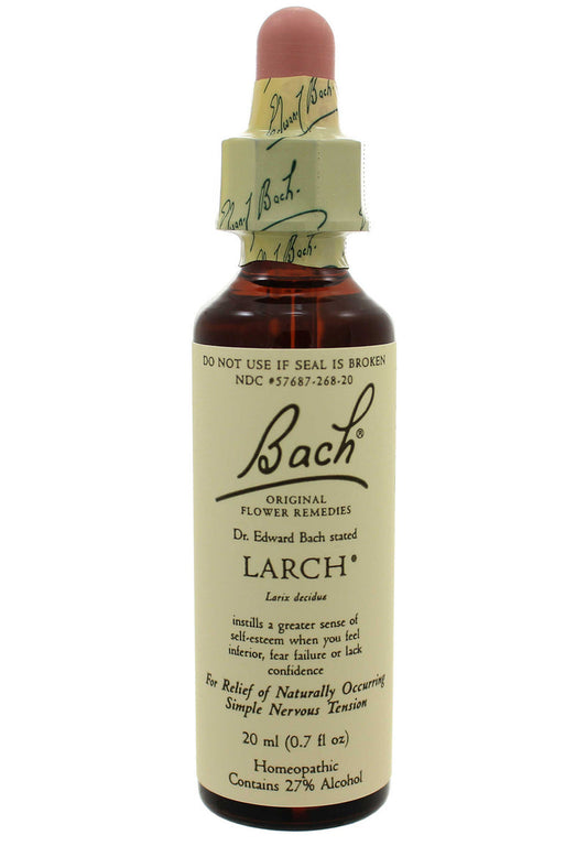 BACH LARCH