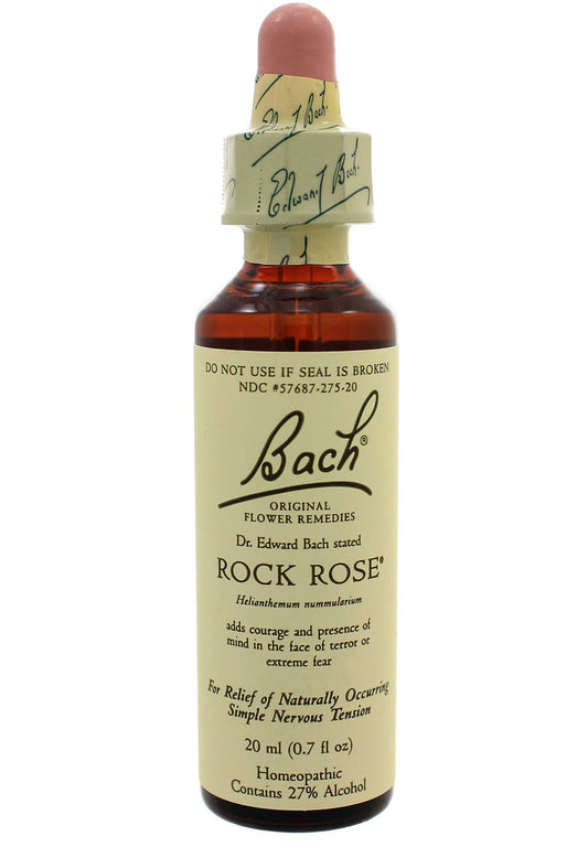 BACH ROCK ROSE