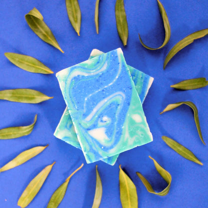 SPINSTER SISTERS CO. SOAP,BR,LEMONGRASS,SAGE