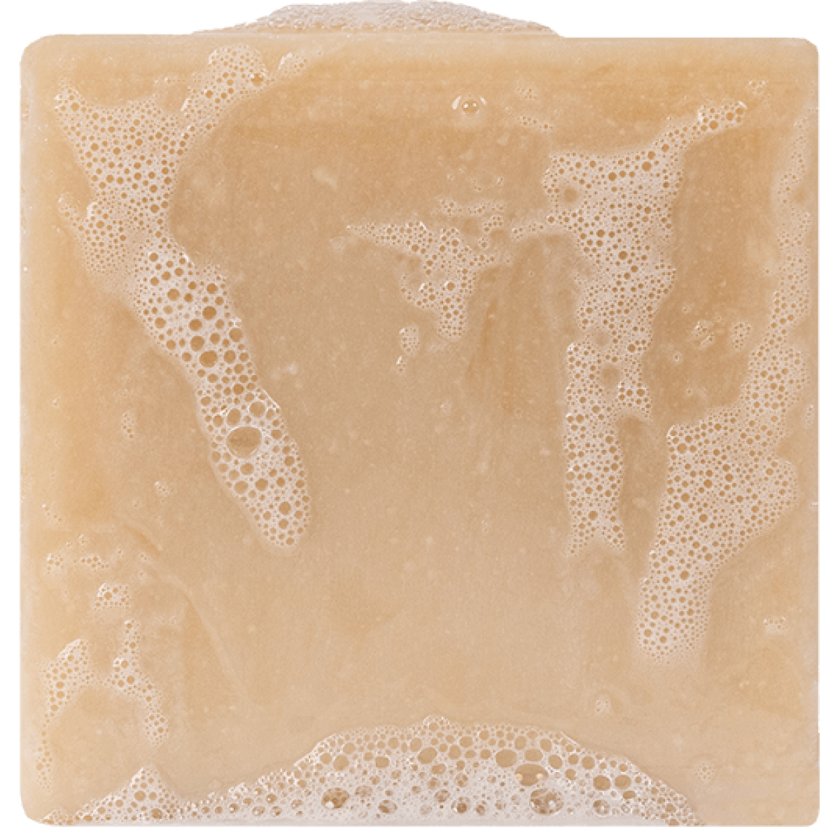 DR. SQUATCH BAR SOAP,MENS,BAY RUM