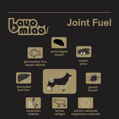 JOINT FUEL