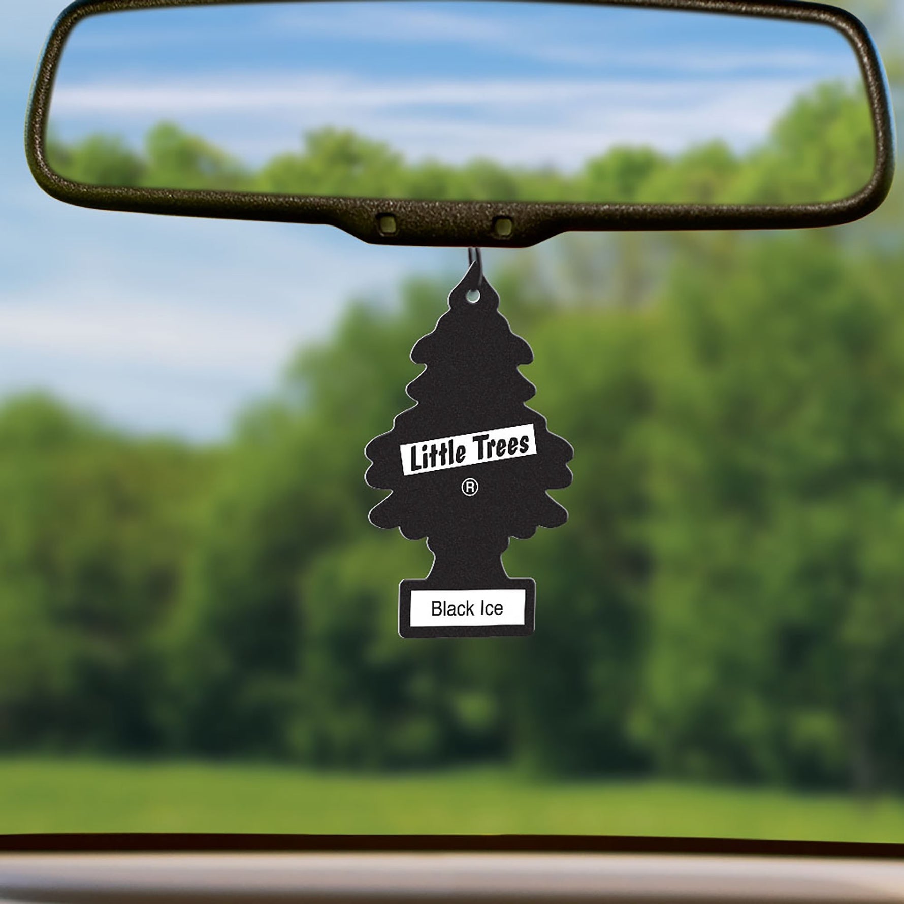 Little Trees Black Ice Hanging Air Freshener - 3 pack