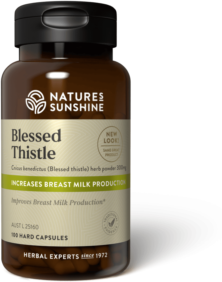 BLESSED THISTLE,OG3
