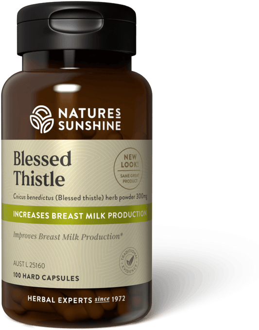 BLESSED THISTLE,OG3