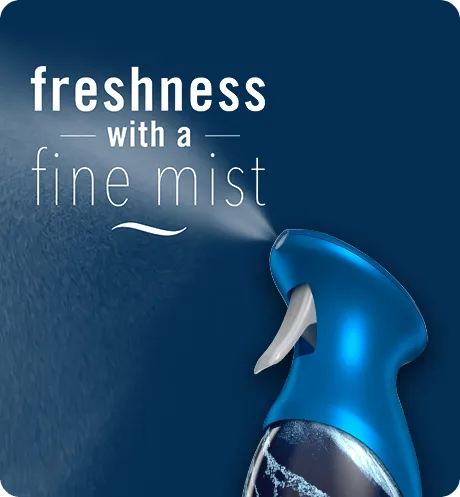 HND SNTZR,OCEAN AIR,MIST