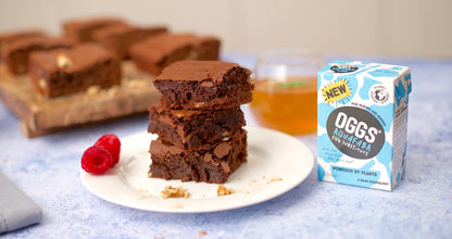 VEGAN PRTN,OG2,CHOCOLATE