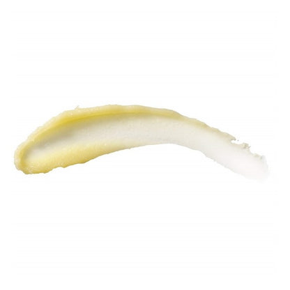 Burts Bees Cuticle Cream Lemon Butter With Vit E 0.6oz (6in)