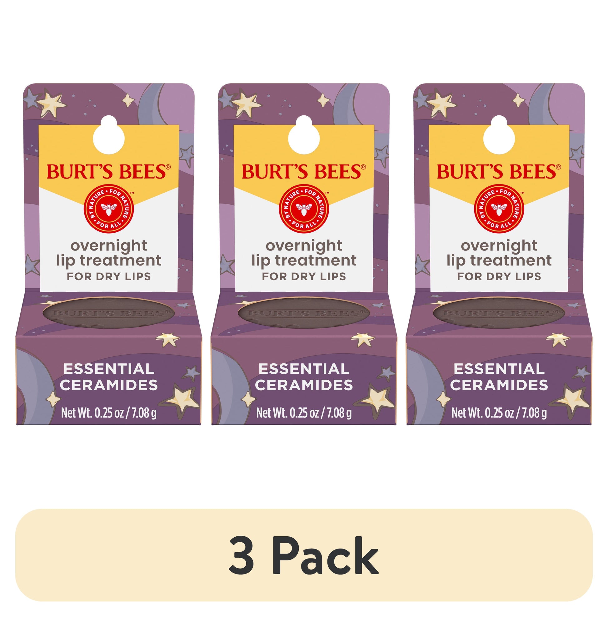 Burt's Bees Overnight Intensive Lip Treatment