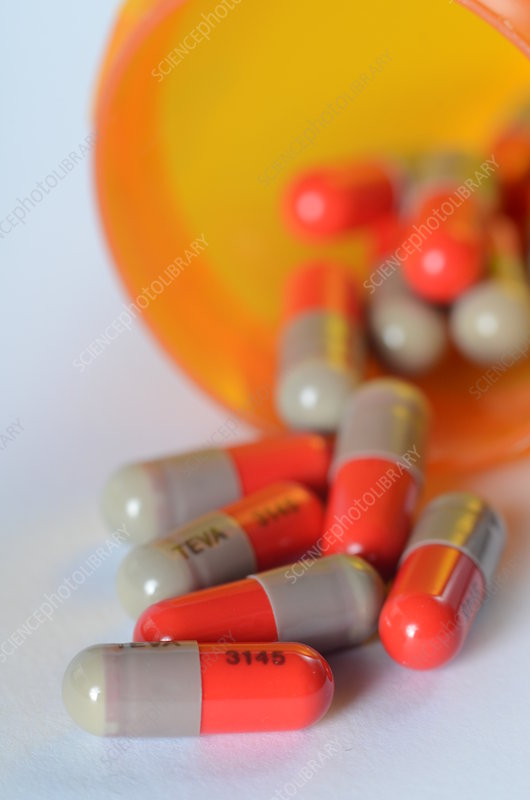 CEPHALEXIN PT 250MG/5ML 200ML